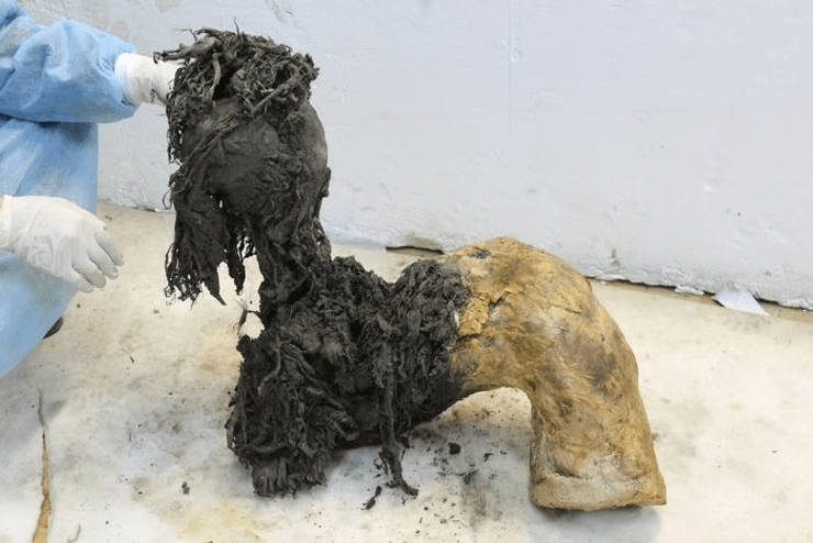 Stockholm University Scientists Extract World